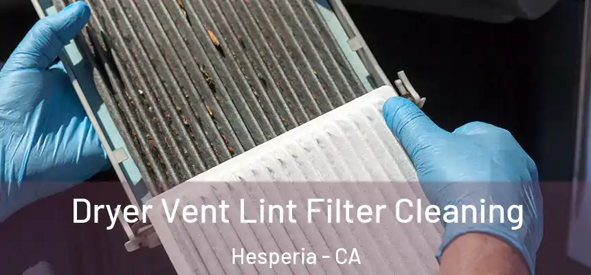 Dryer Vent Lint Filter Cleaning Hesperia - CA