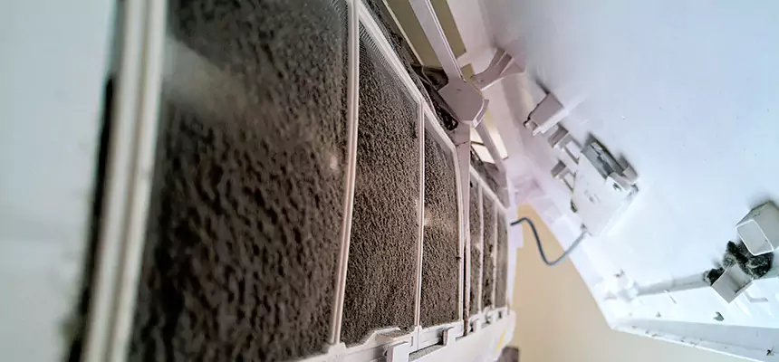 Preventive Air Duct Bacteria Removal in Hesperia