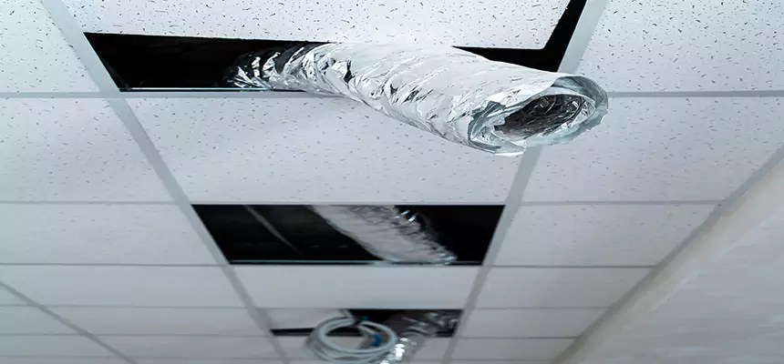 Our Air Duct Pet Hair Removal Services in Hesperia, CA