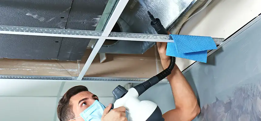 Our Air Duct Rodent Removal Services in Hesperia, CA