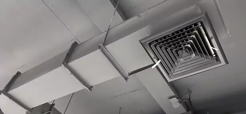 Our Pest Removal From Ducts Services in Hesperia, CA