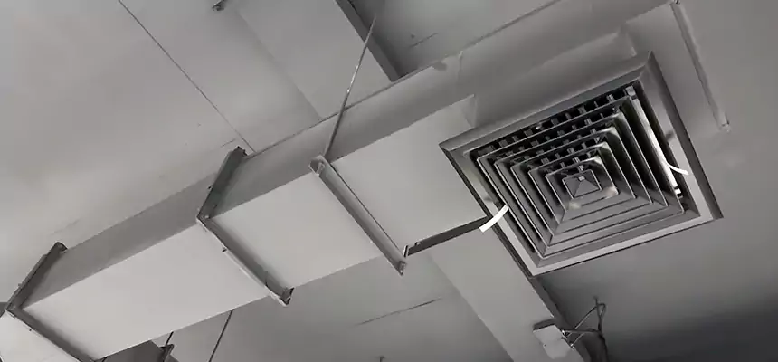 Our Rodent Droppings In Vents Services in Hesperia, CA