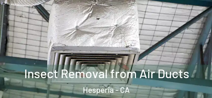 Insect Removal from Air Ducts Hesperia - CA