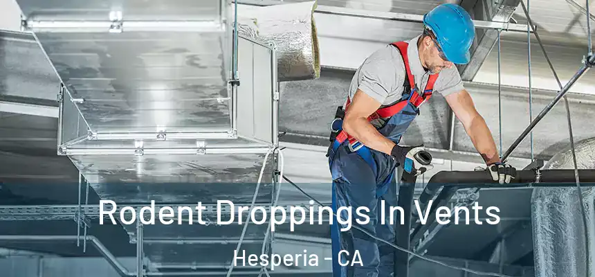 Rodent Droppings In Vents Hesperia - CA