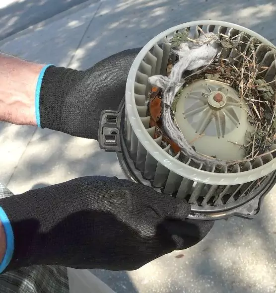 About Air Duct Mice Removal in Hesperia, CA