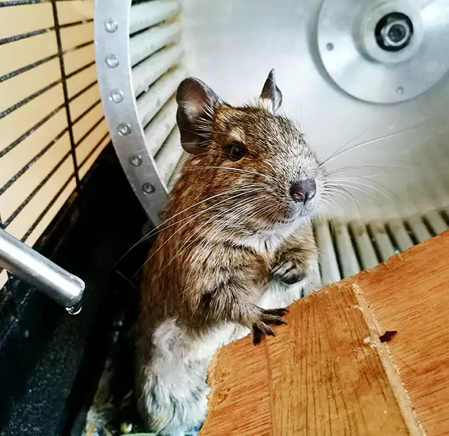 Why Homeowners & Businesses Trust Us Hesperia, CA