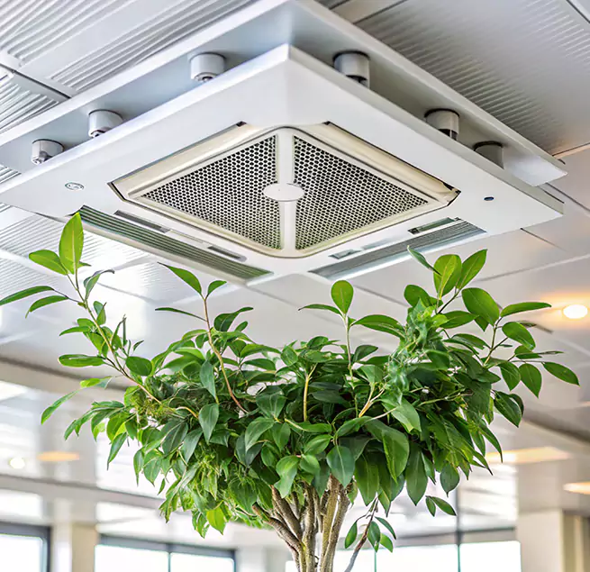 Why Homeowners & Businesses Trust Us in Hesperia, CA